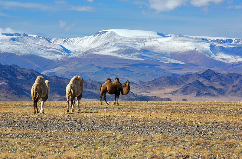 mongolia photography spots 
